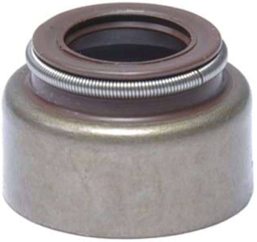 Valve seals Viton #S2970-20, 20 stuks